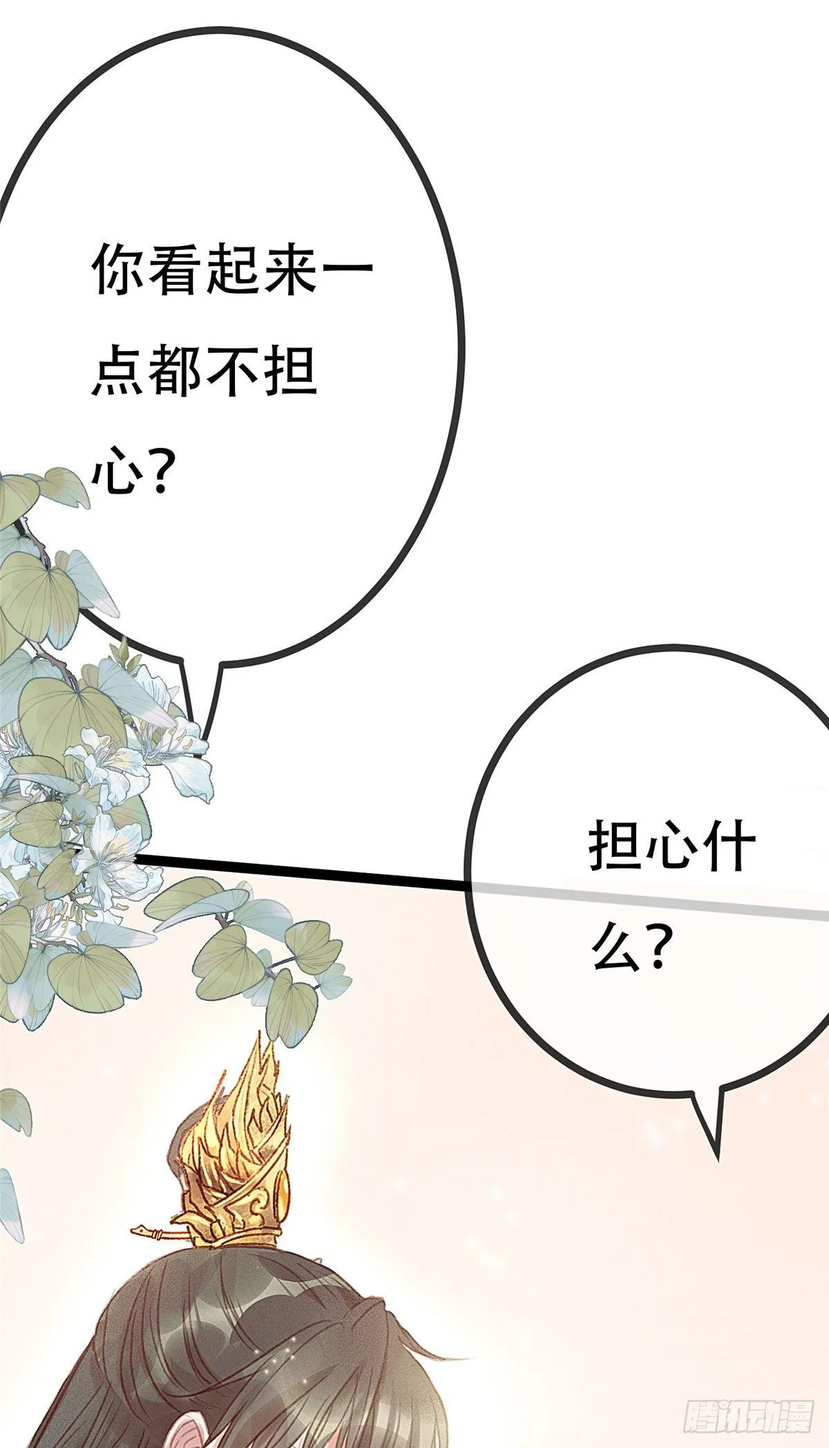 003 第5页