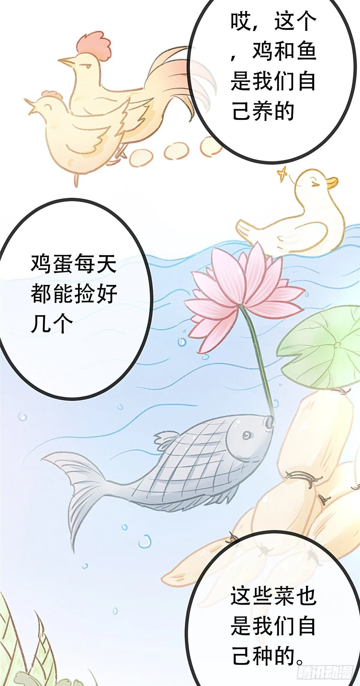 003 第24页