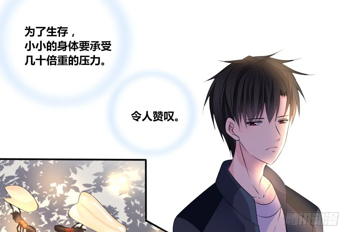 零灵是谁？ 第11页