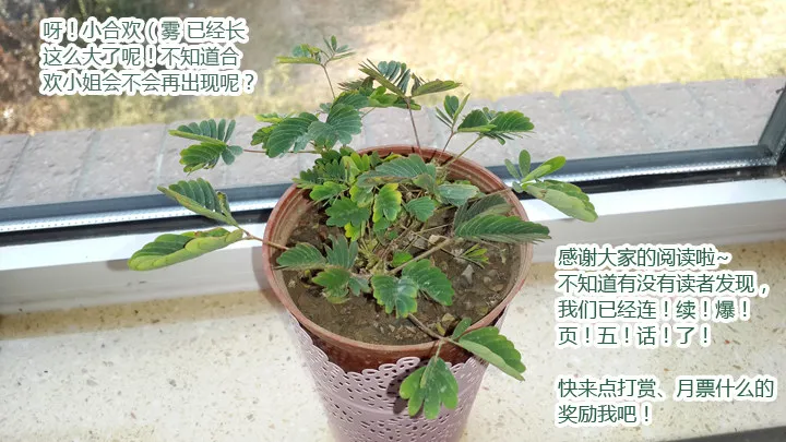 44.当NPC头上亮起叹号 第12页