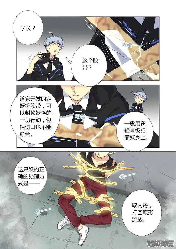 334.先来 第4页