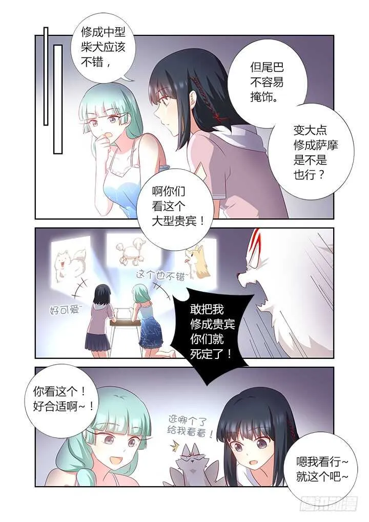 377.洗剪吹 第5页