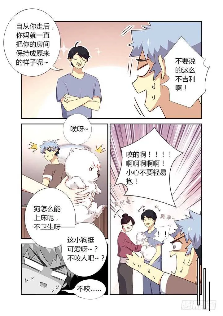 384.怎样养狗 第2页