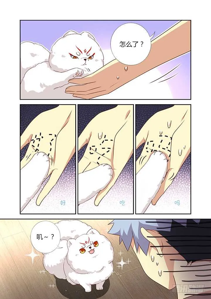 384.怎样养狗 第6页