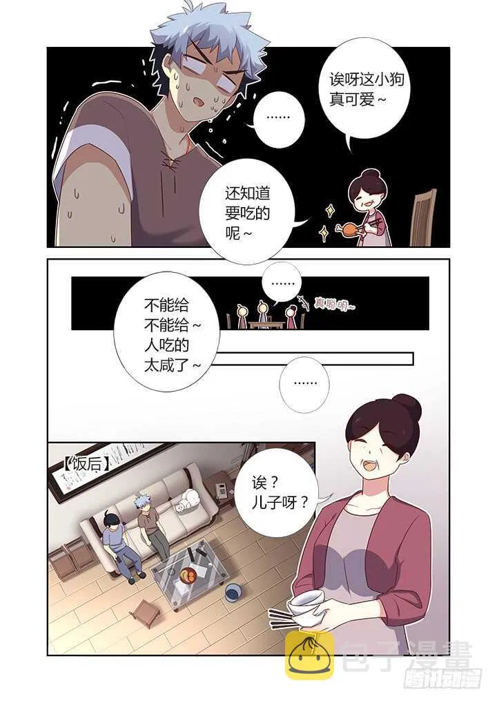 384.怎样养狗 第7页
