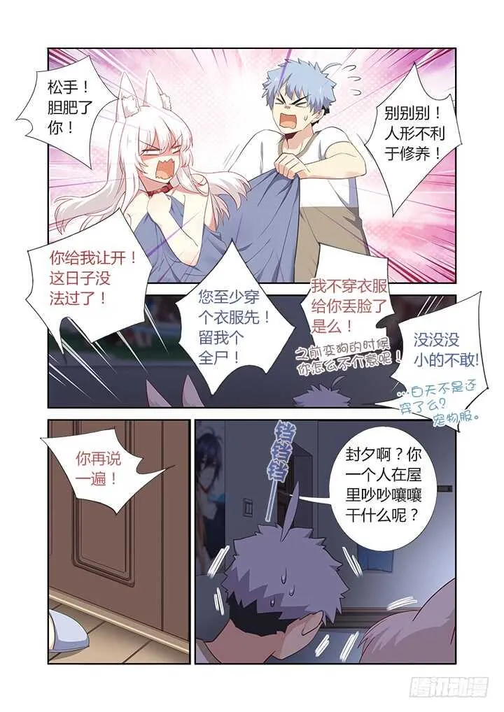 392.我全都要 第3页