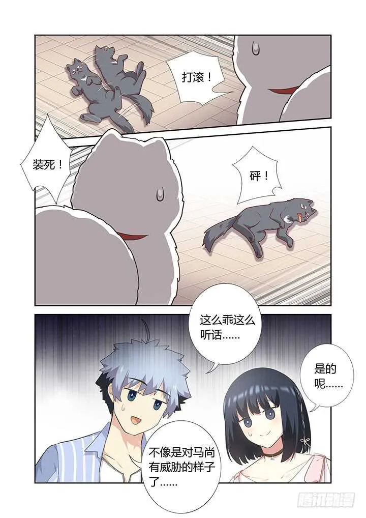399.狗与狗 第13页