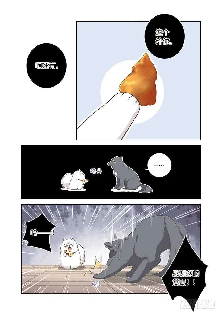 401.桌下 第13页