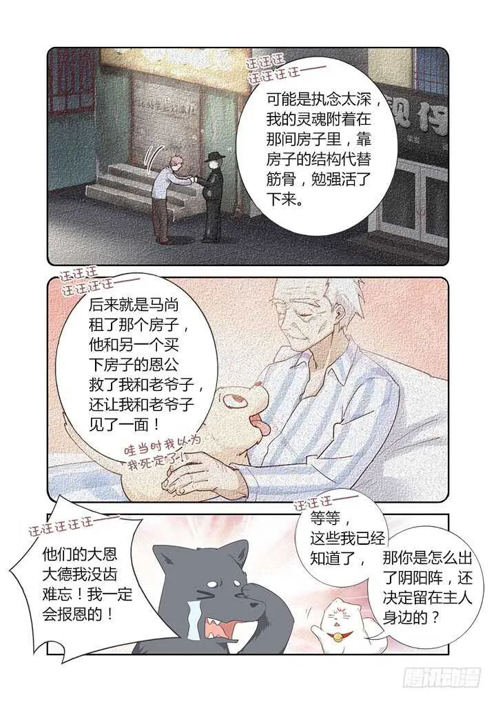 404.名犬 第10页