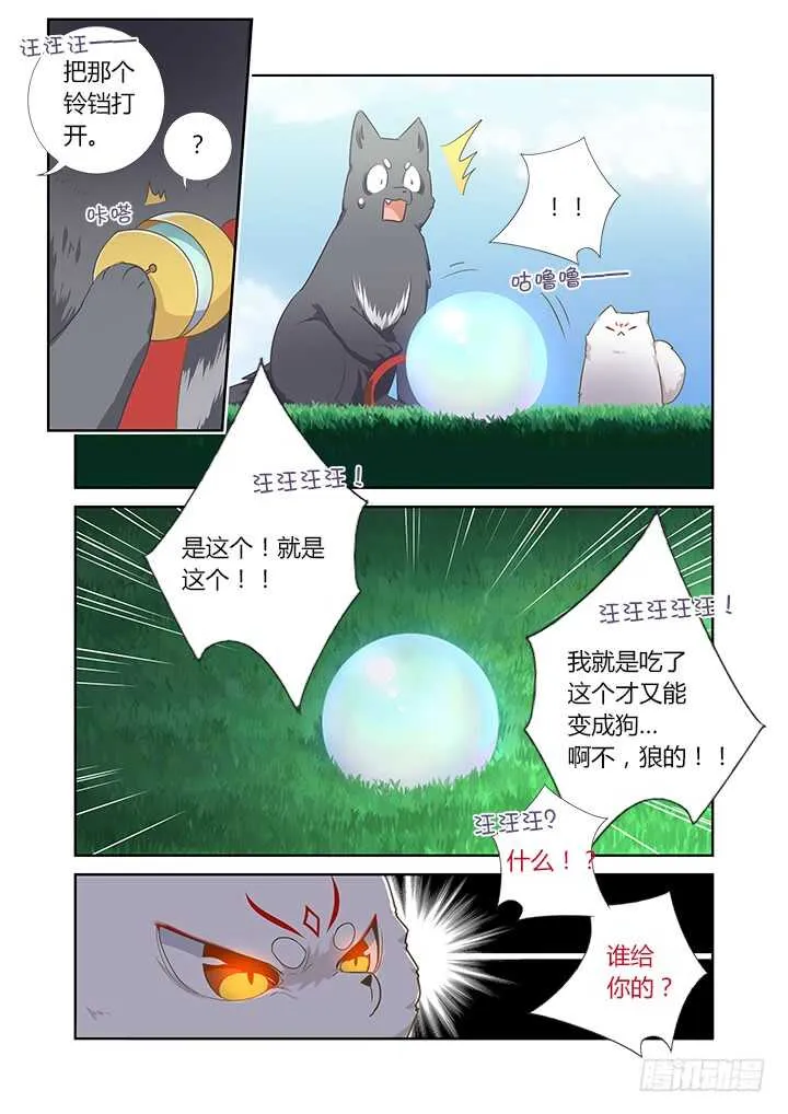 404.名犬 第12页