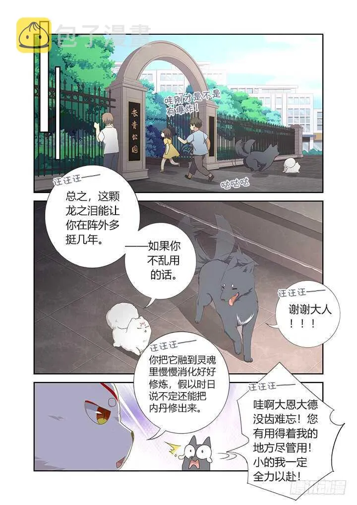 405.中华田园犬 第2页