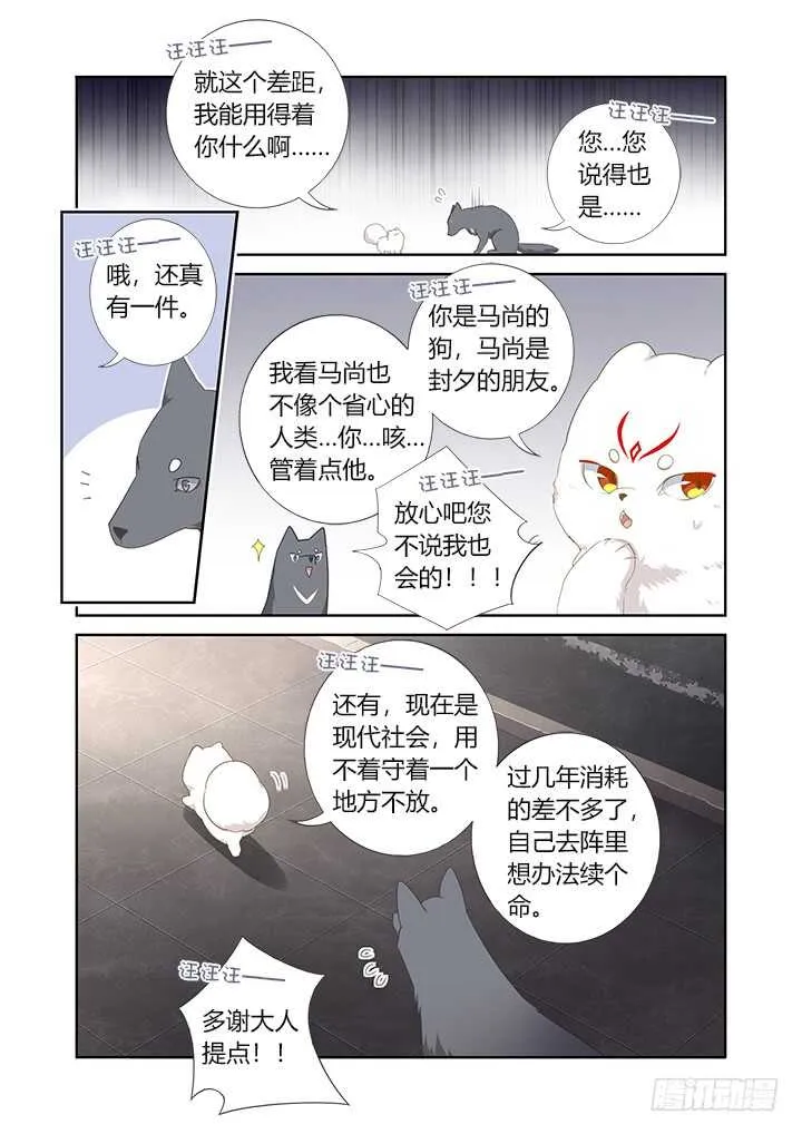 405.中华田园犬 第3页