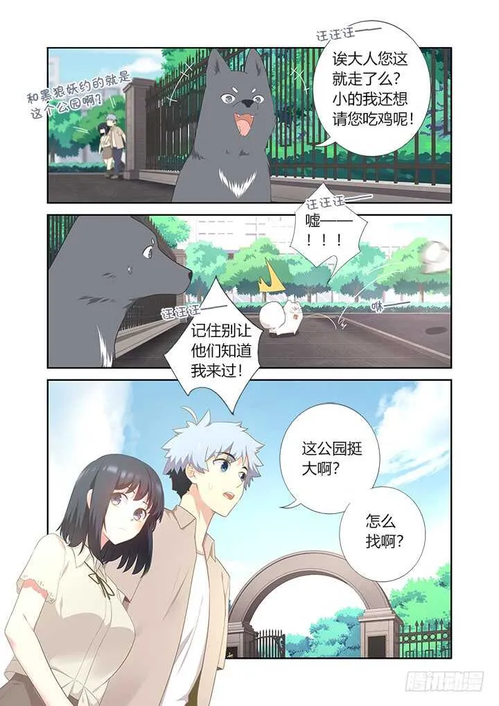 405.中华田园犬 第4页