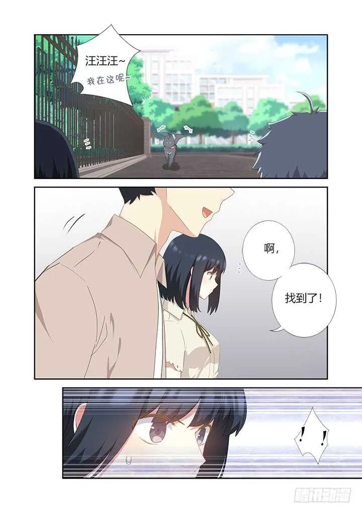 405.中华田园犬 第5页