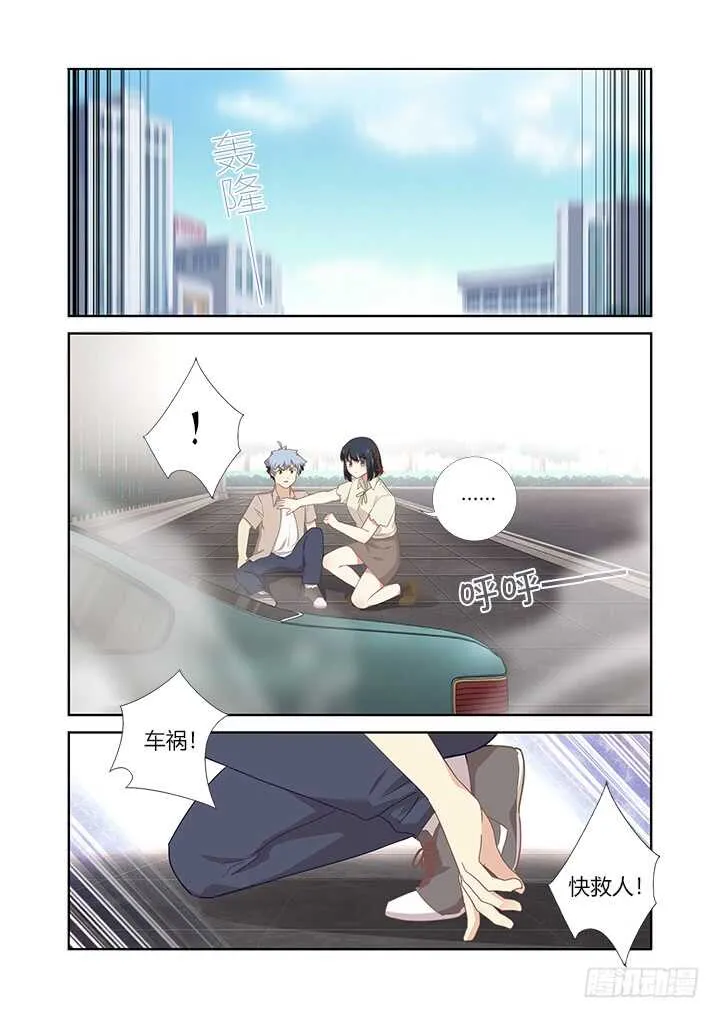 405.中华田园犬 第7页