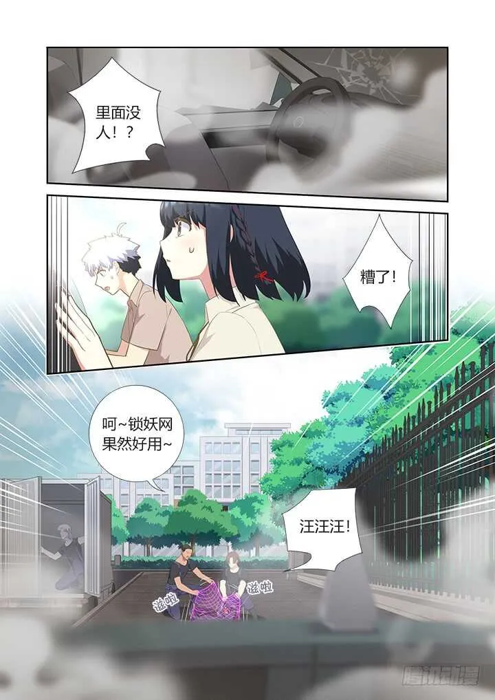 405.中华田园犬 第9页