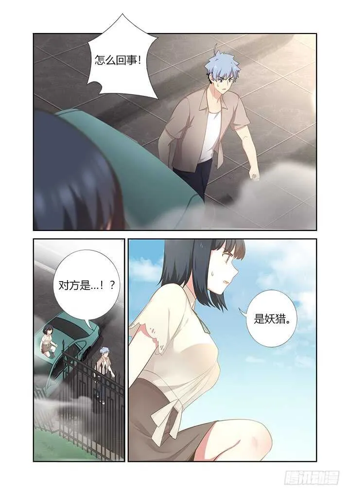405.中华田园犬 第12页