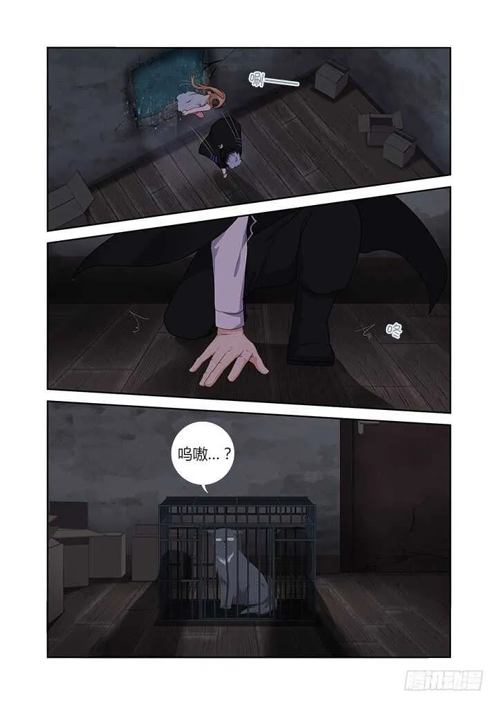 416.声东击西 第14页
