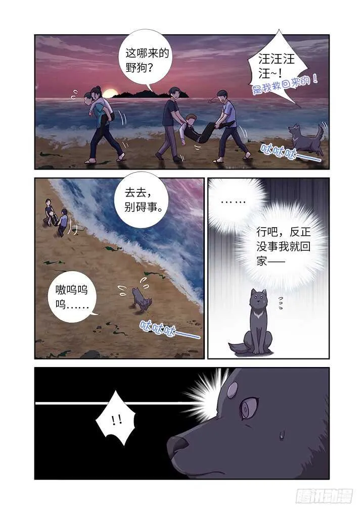 437.上岸 第5页