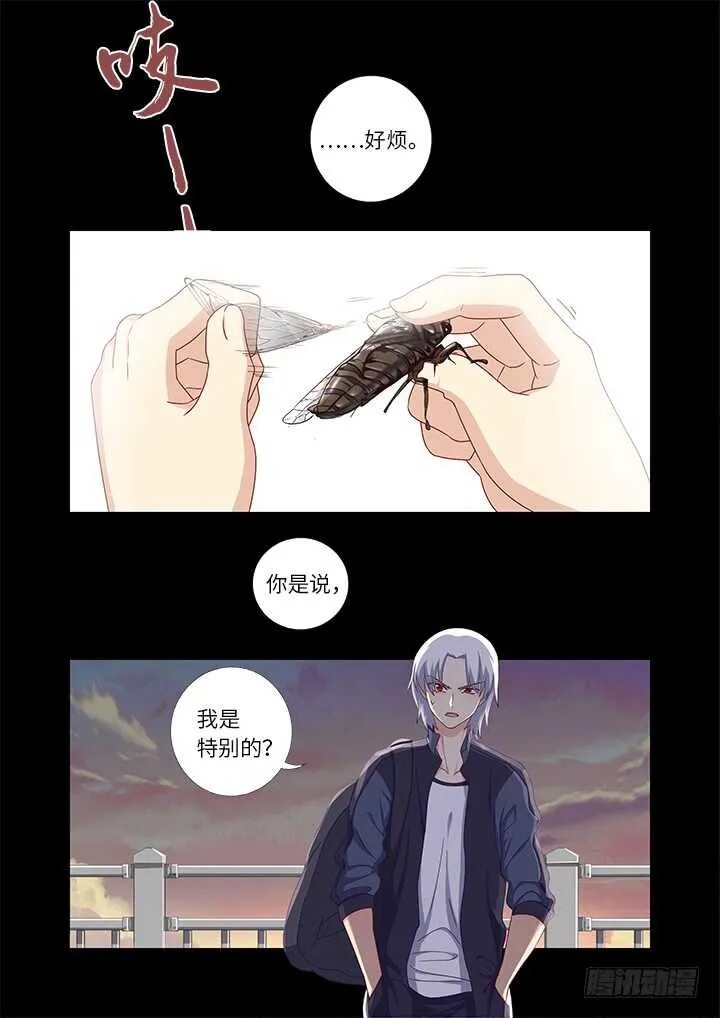 441.曾经 第8页