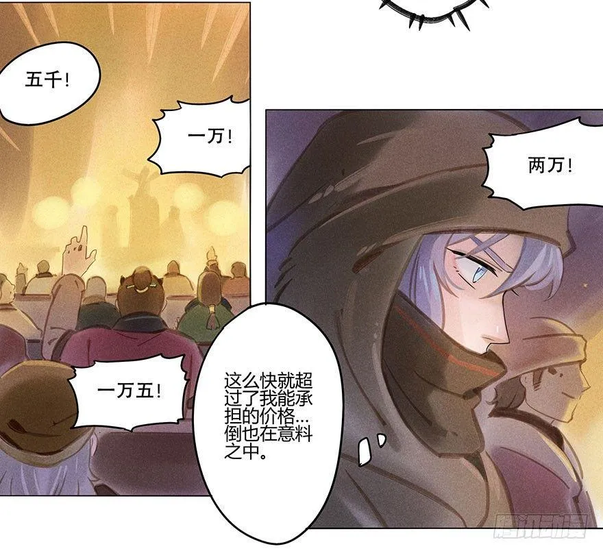 051：拍卖会 第17页