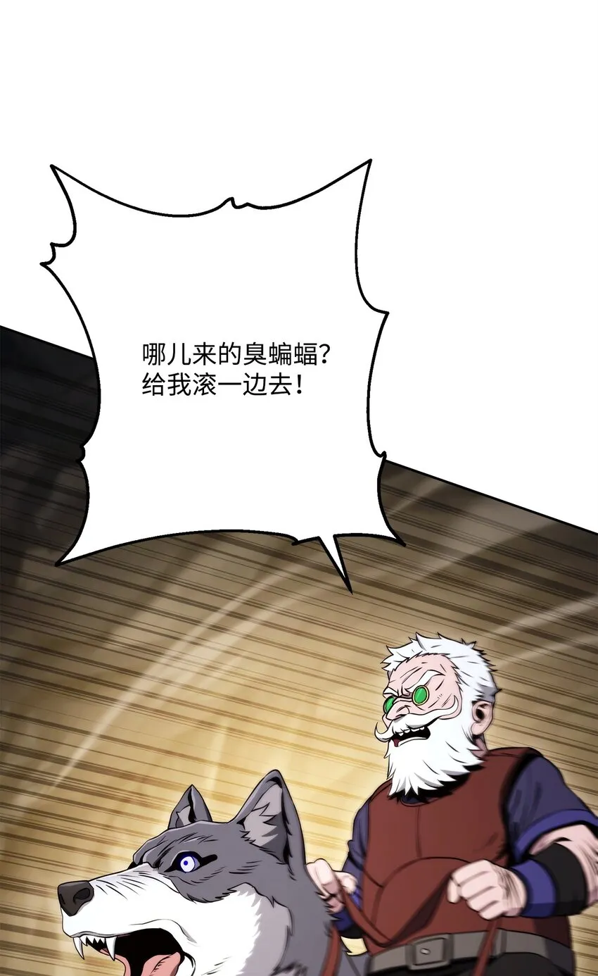 223 诺佩尔与蝙蝠 第41页