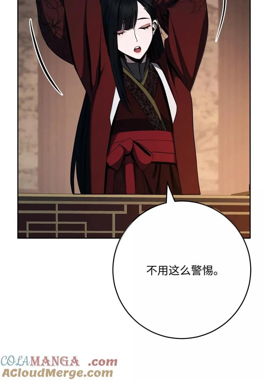 317 灯笼盖头 第13页
