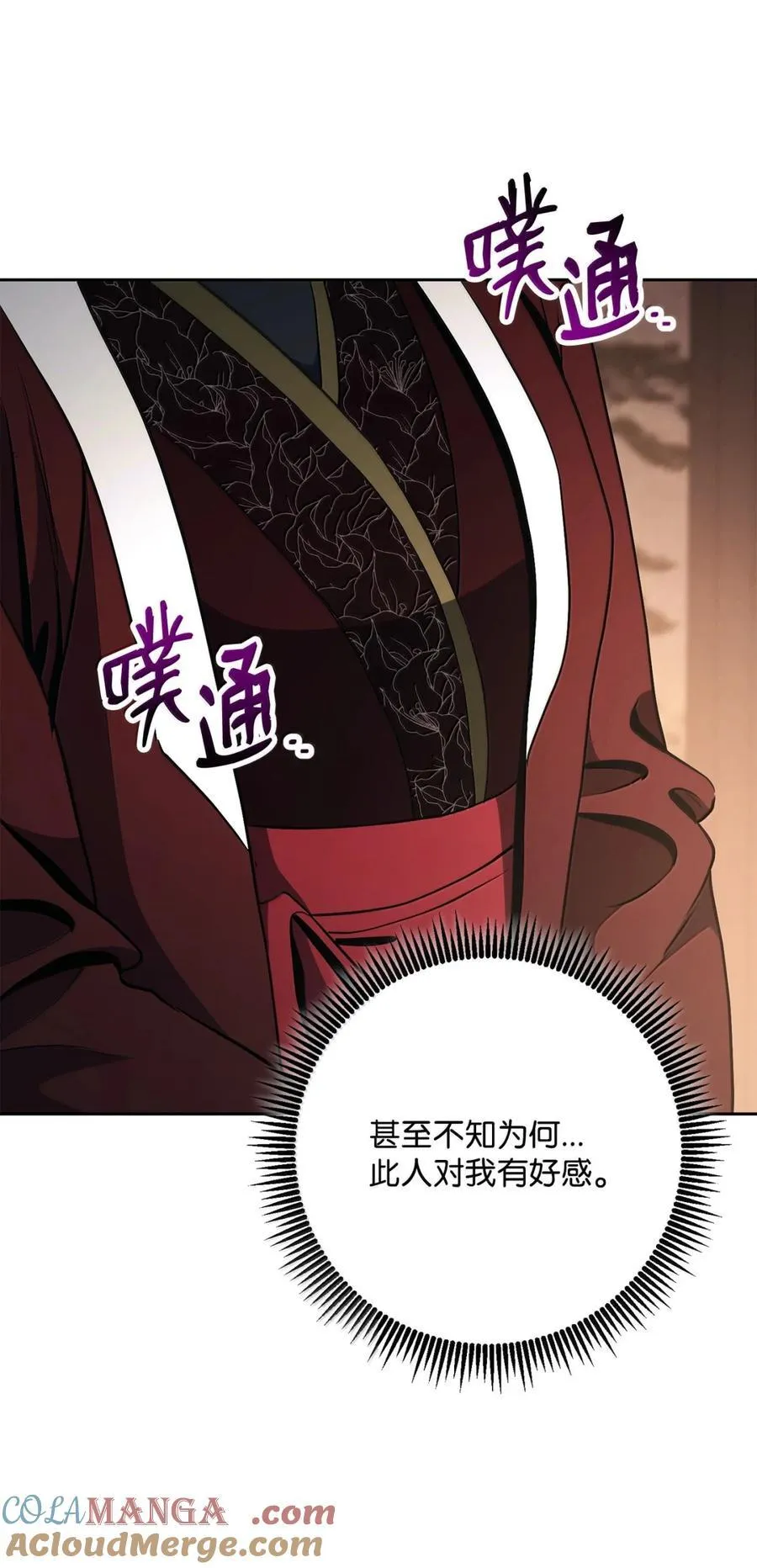 317 灯笼盖头 第29页