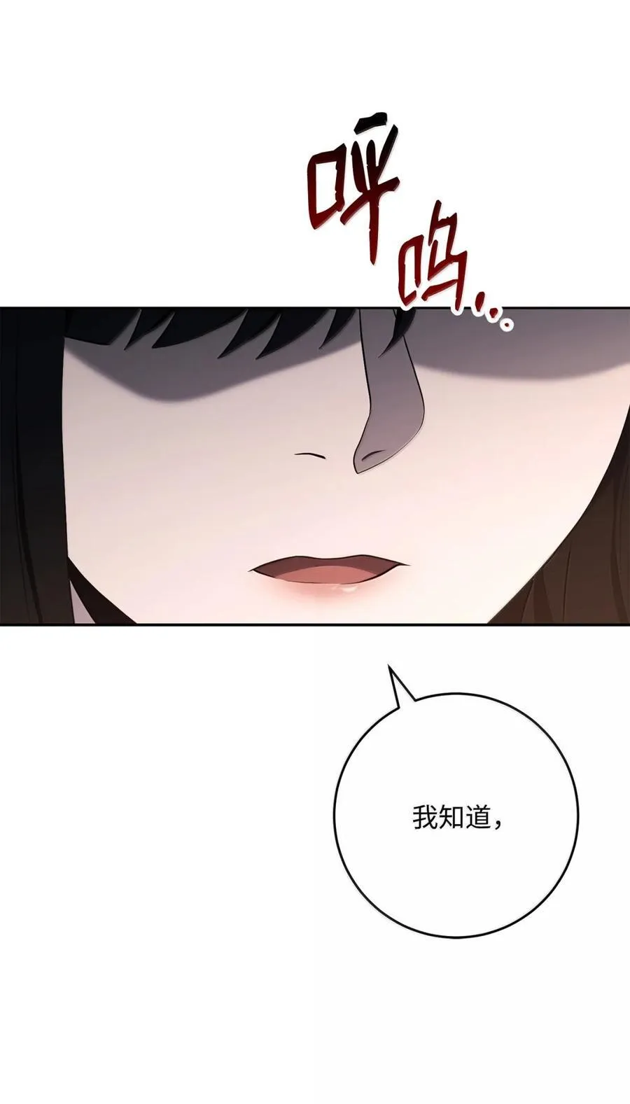 317 灯笼盖头 第55页