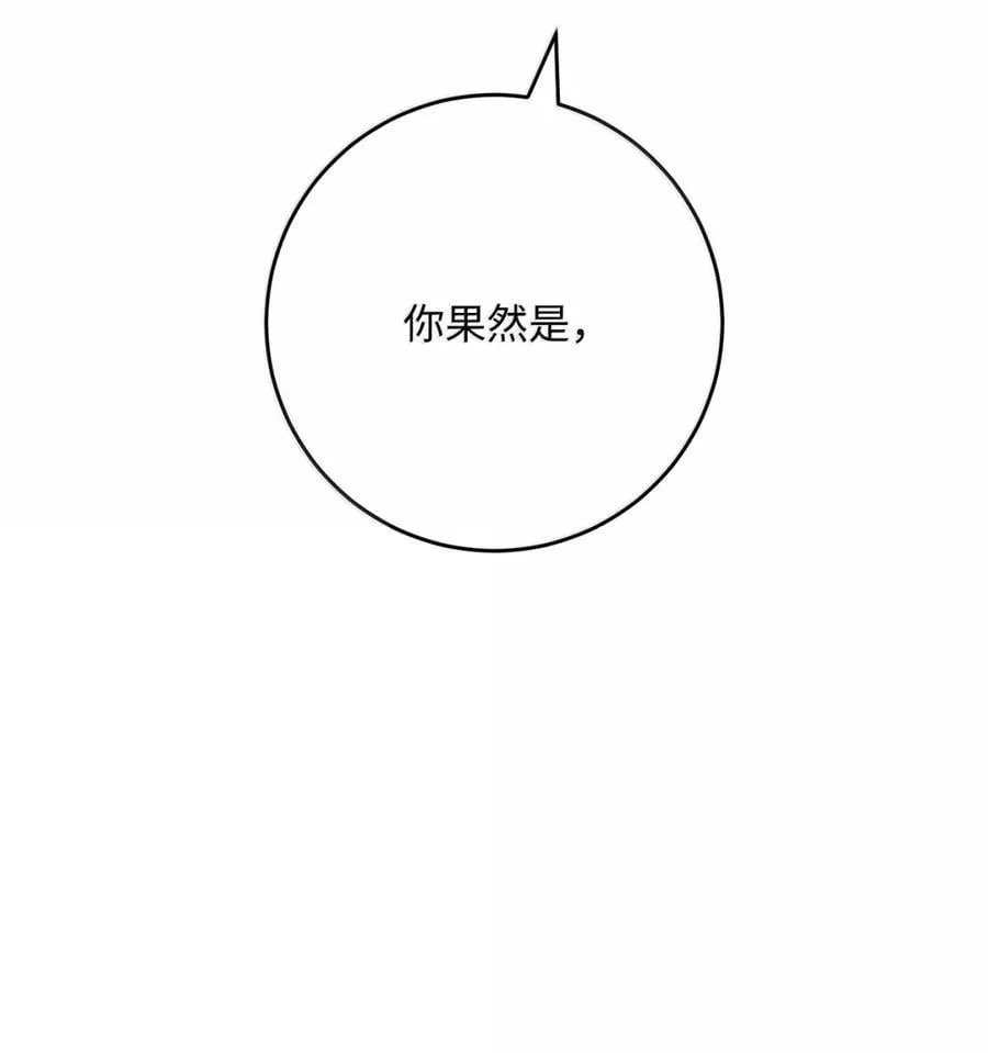 317 灯笼盖头 第60页