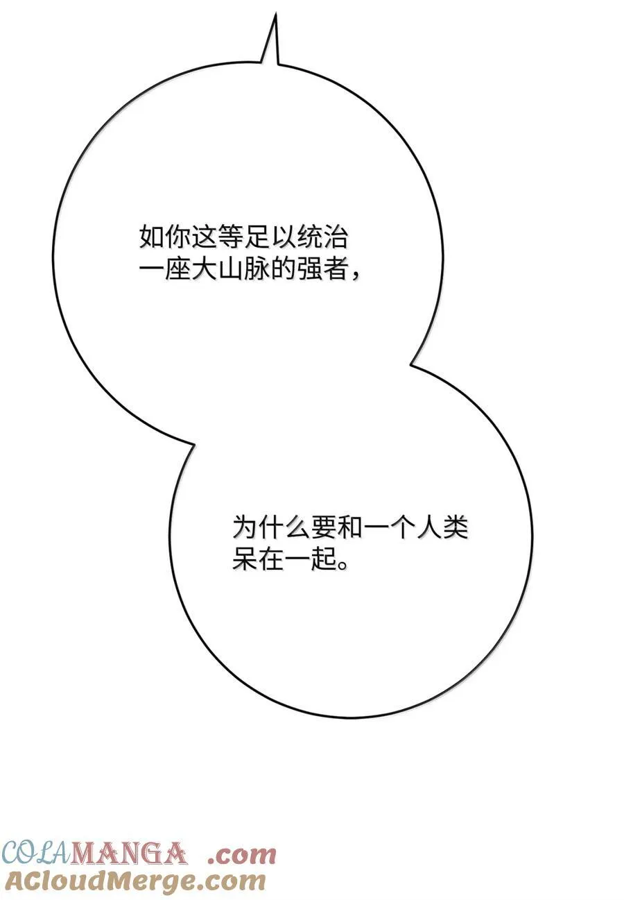 317 灯笼盖头 第101页