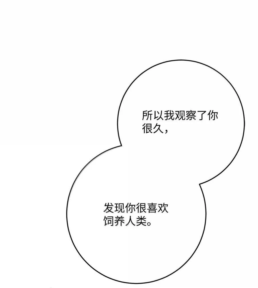 317 灯笼盖头 第102页