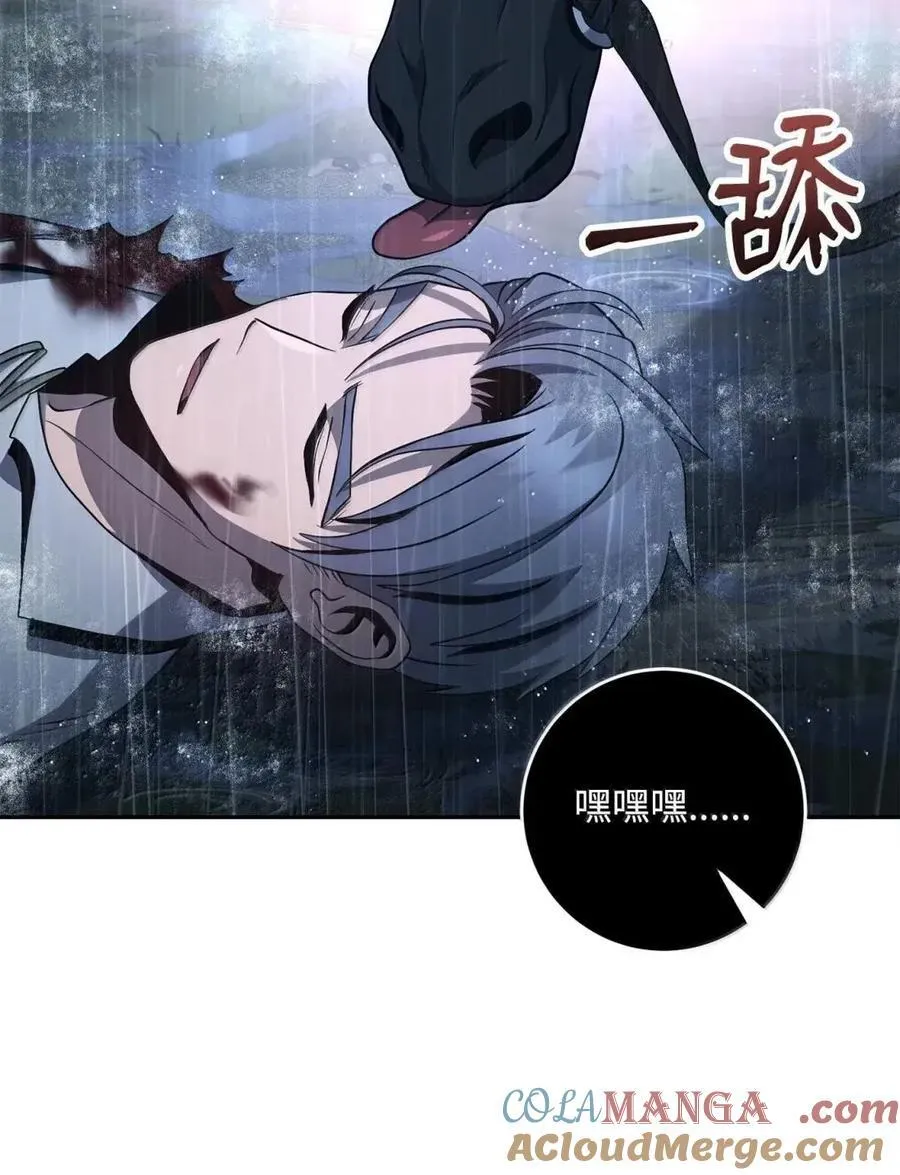339 拼死护主 第40页
