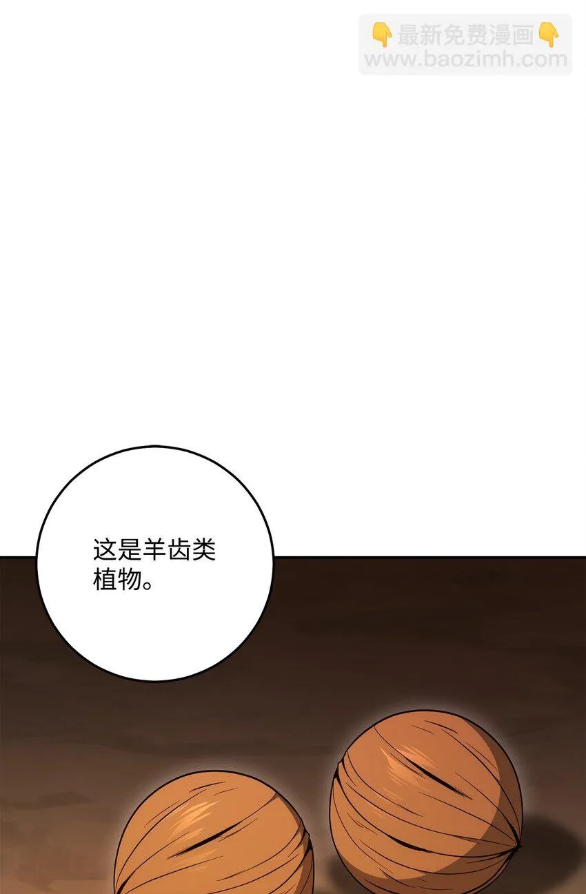 191 熔岩地带 第99页