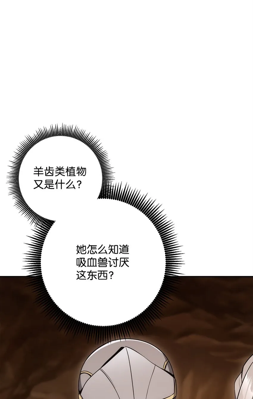 191 熔岩地带 第101页