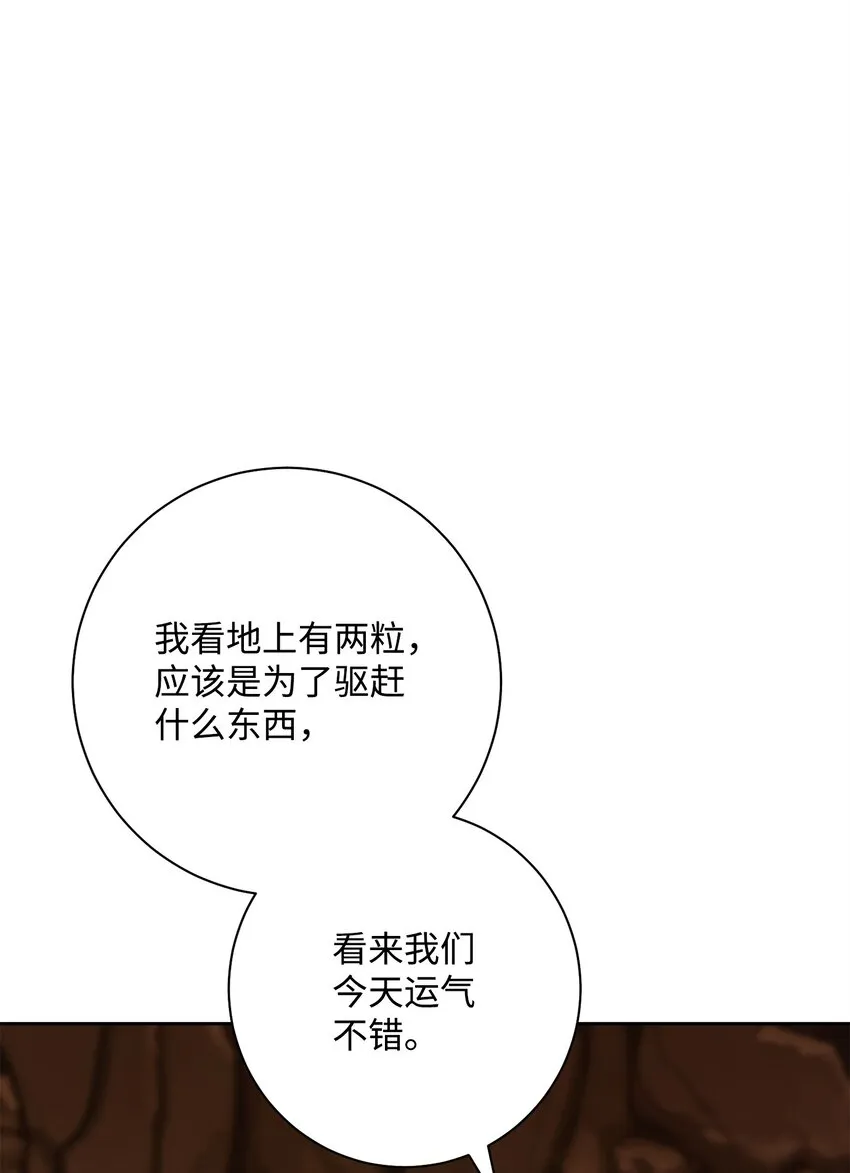 191 熔岩地带 第103页