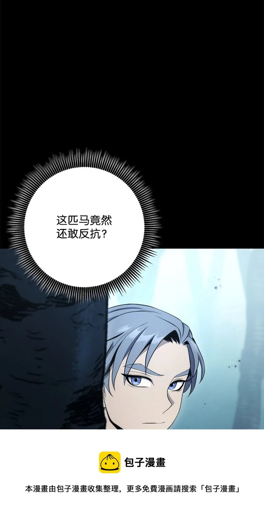 187 蓝狮骑士团 第73页