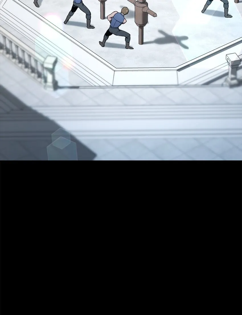 187 蓝狮骑士团 第114页