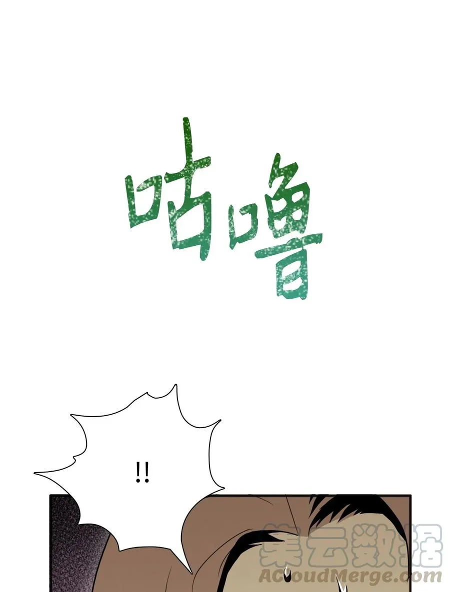 31 公会分部 第61页