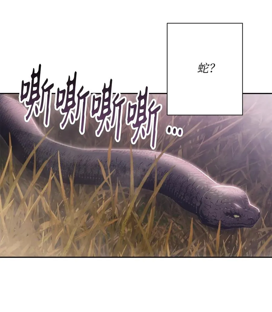 93 饲养场 第50页