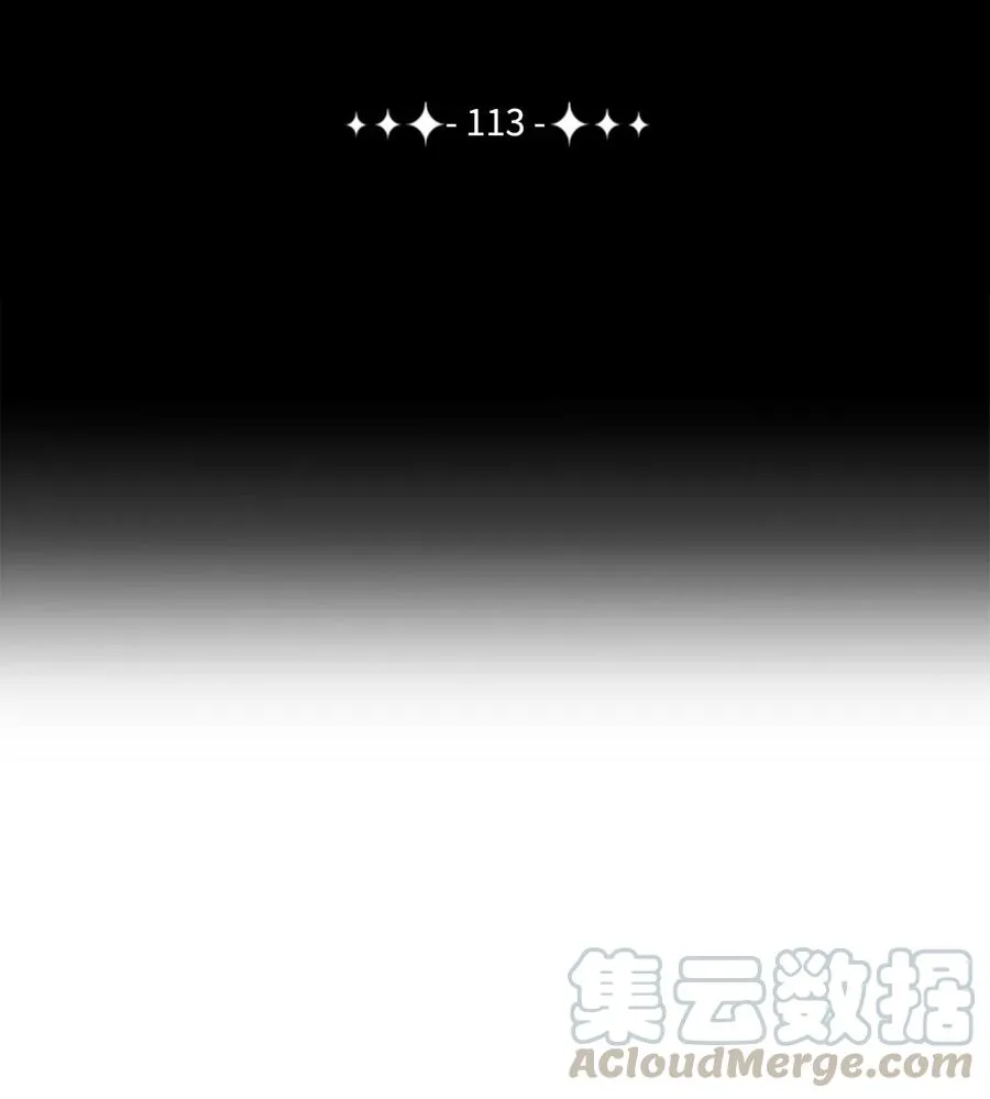 113 未知代码 第13页
