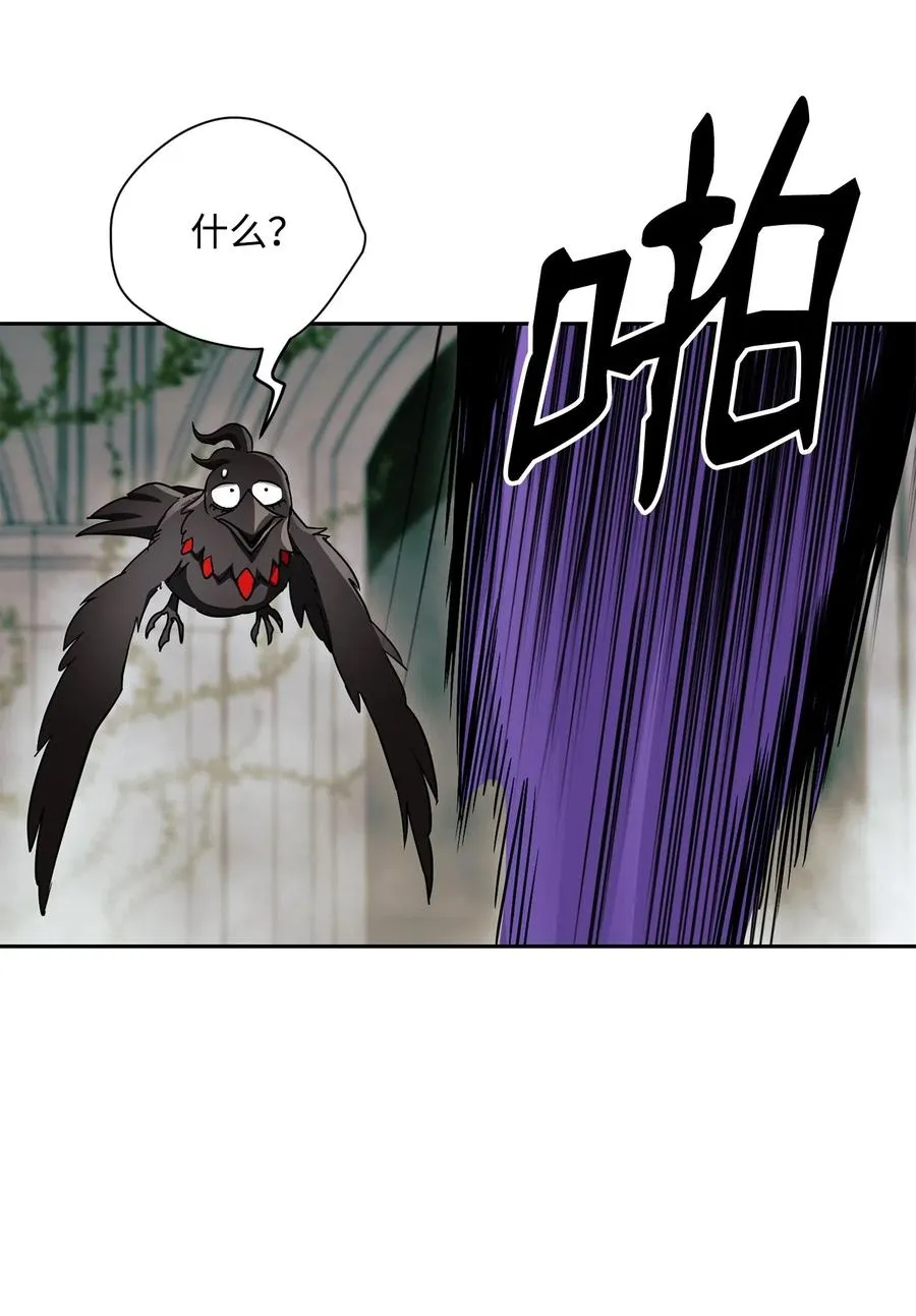 113 未知代码 第46页