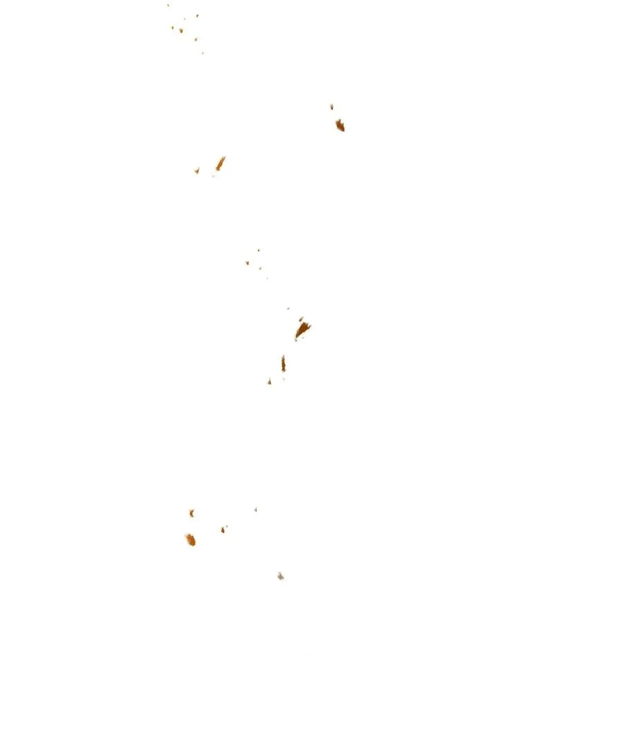 130 站队 第87页