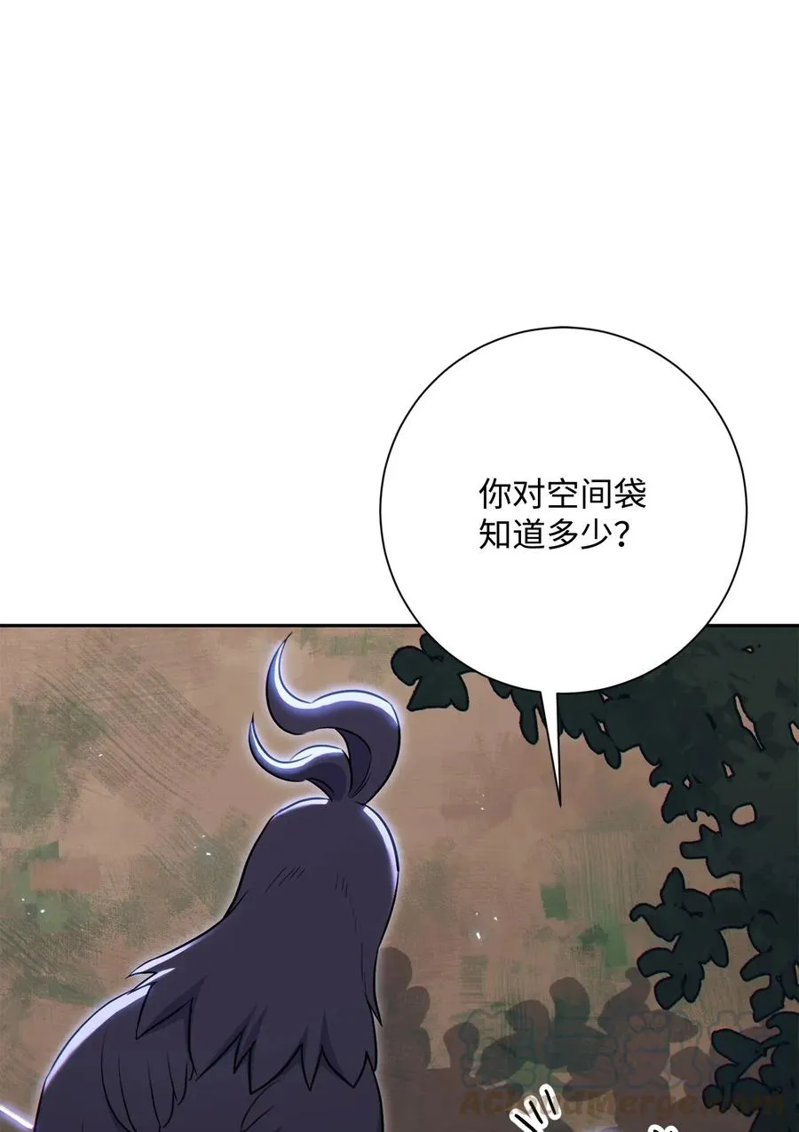138 空间袋 第77页
