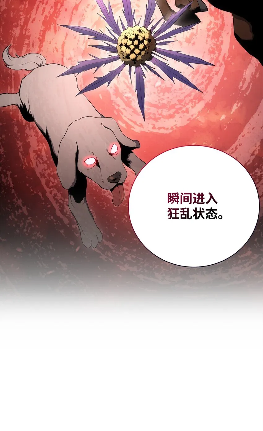 178 单挑 第38页