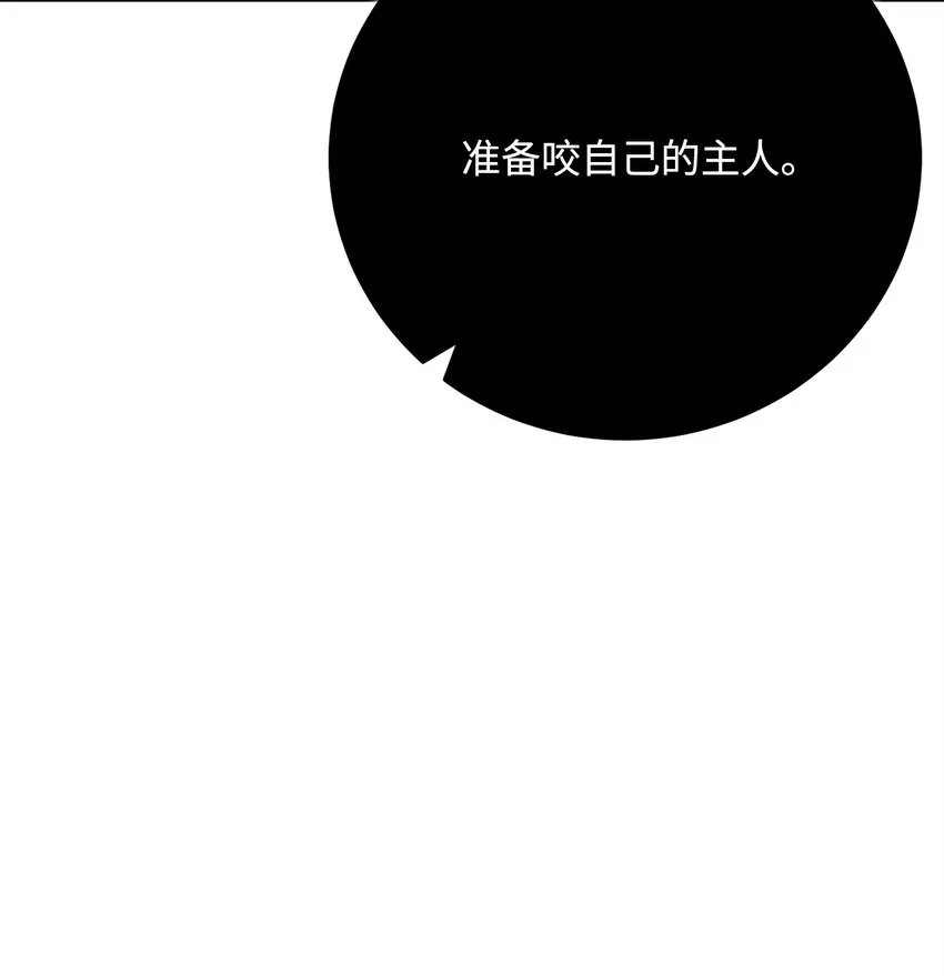 180 南部联盟 第120页