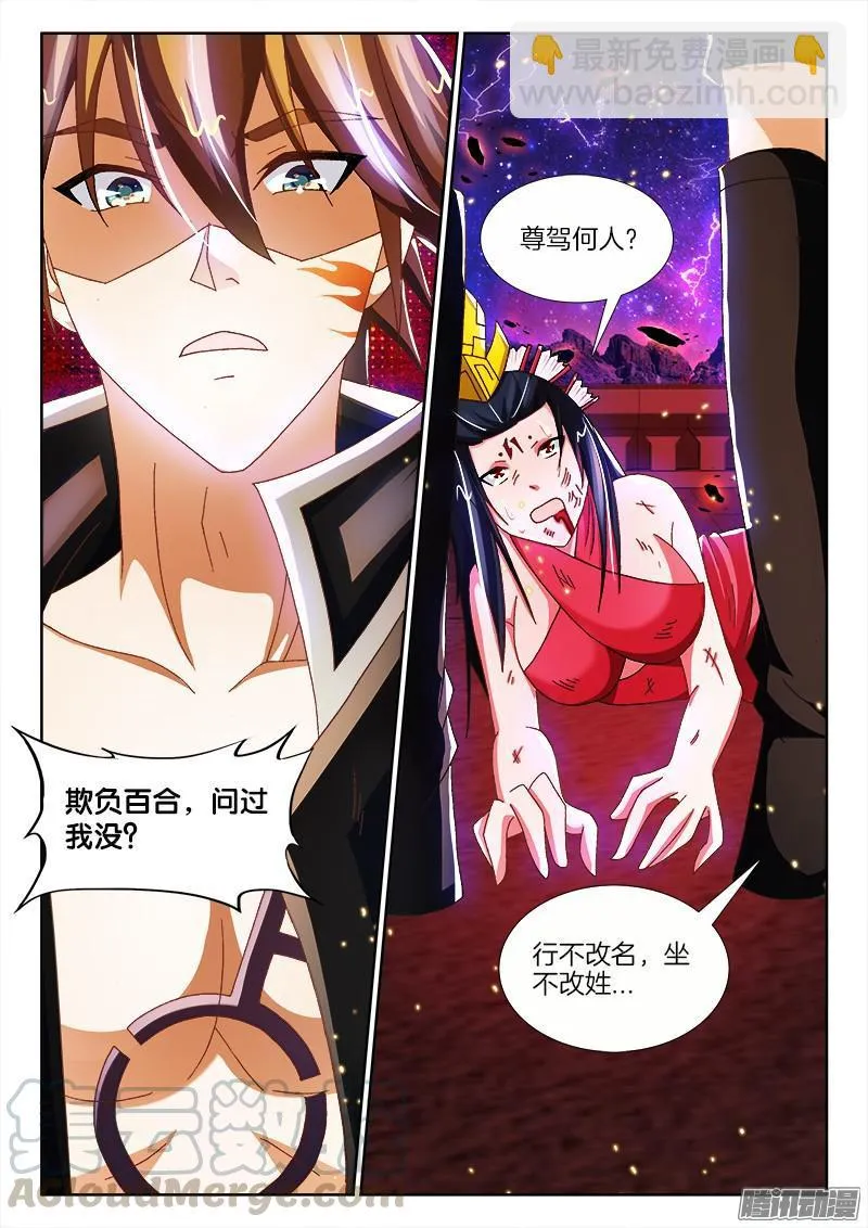 206、 各显神通 第11页