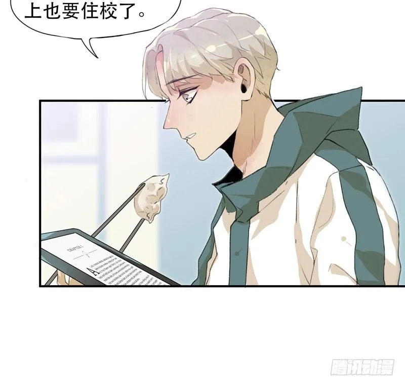 铁钉下的乌鸦 第41页