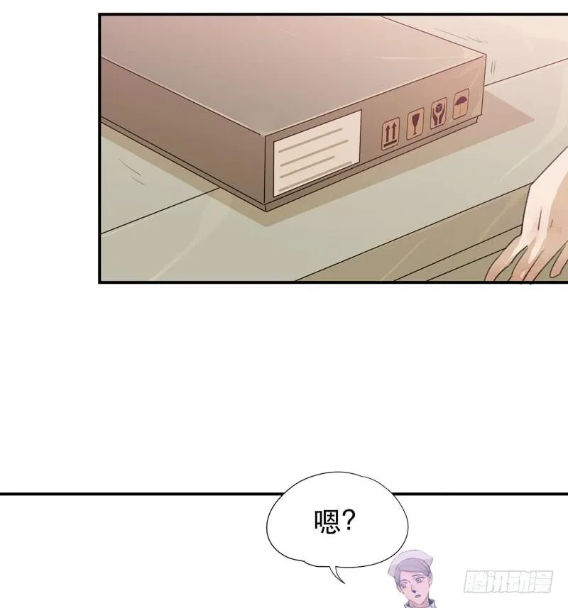 铁钉下的乌鸦 第67页
