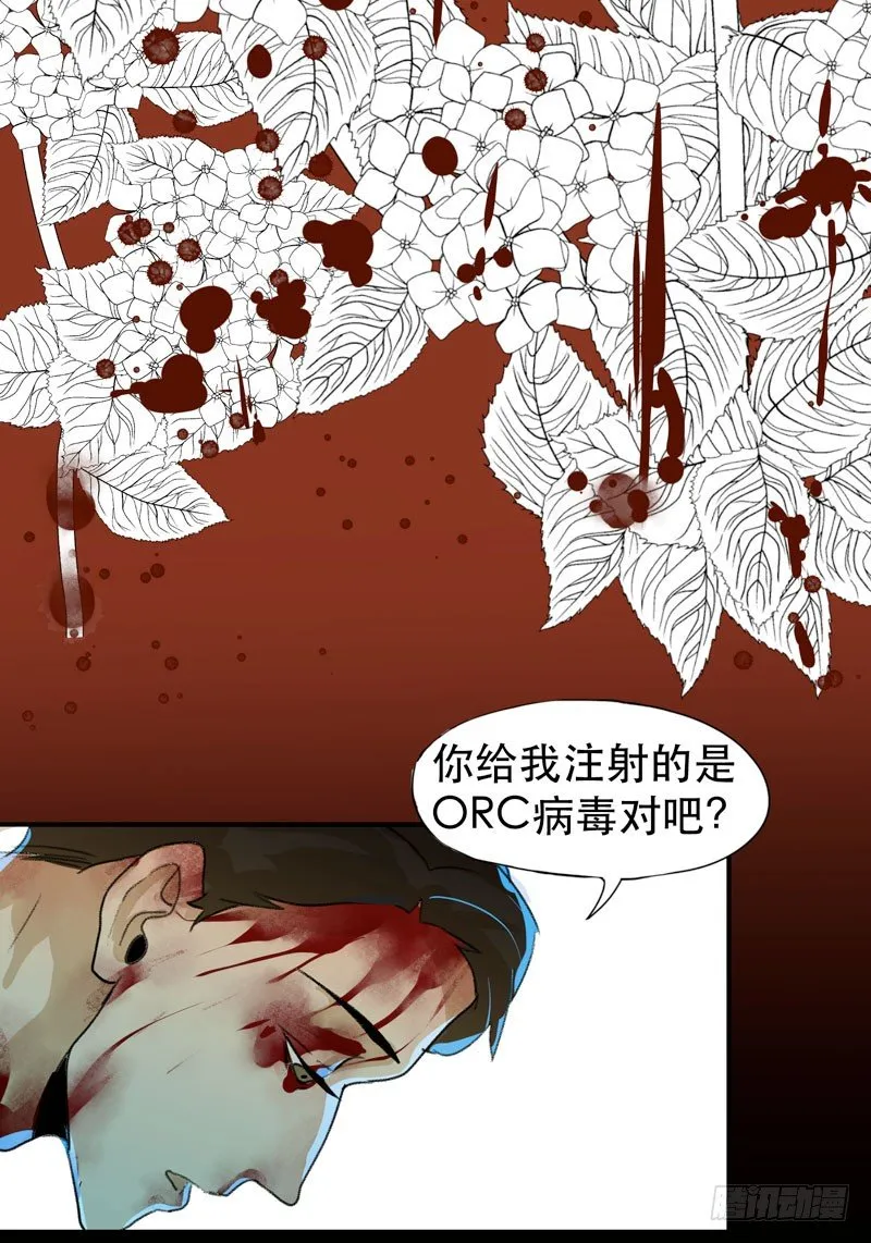 红色和蓝色，你喜欢哪个？ 第25页
